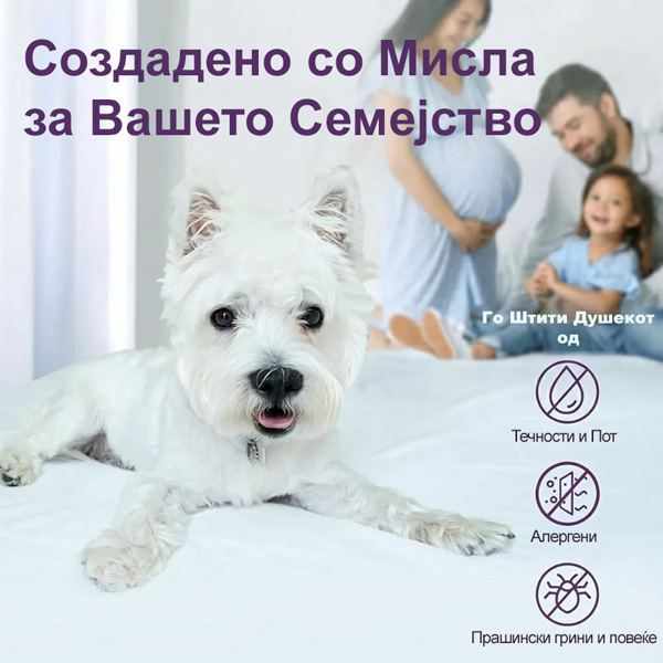 CLOUDREAM-3831127613059-MK-5__301225